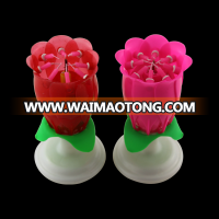 birthday party decoration rose flower candle for India